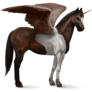 winged riding unicorn appaloosa bay snowflake 
