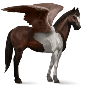 riding pegasus paint horse dark bay tobiano