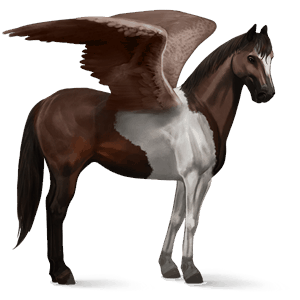 riding pegasus paint horse chestnut tobiano