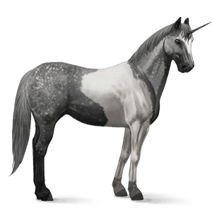 riding unicorn paint horse dapple gray tobiano