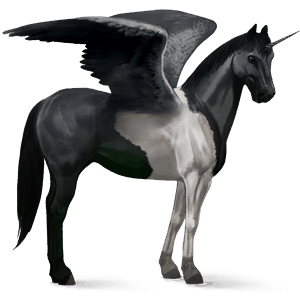 winged riding unicorn paint horse black tobiano