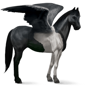 riding pegasus paint horse black tobiano