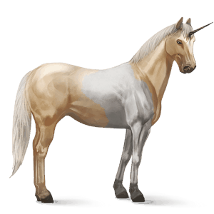 riding unicorn cremello tobiano