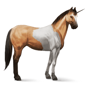 riding unicorn cremello tobiano