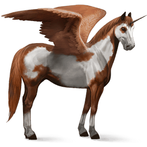 winged riding unicorn paint horse chestnut overo