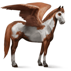 riding pegasus thoroughbred bay