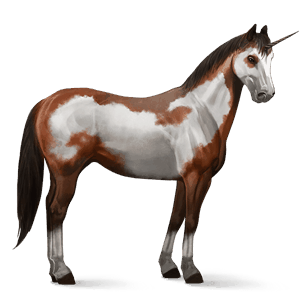 riding unicorn marwari flaxen chestnut 