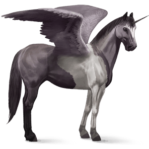 winged riding unicorn paint horse mouse gray tobiano