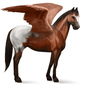 riding pegasus mustang cherry spotted blanket