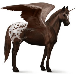 winged riding unicorn appaloosa chestnut blanket 