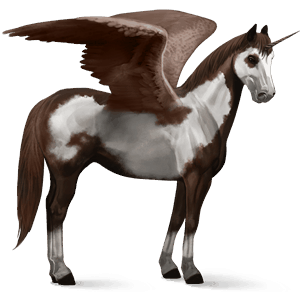 winged riding unicorn paint horse liver chestnut overo
