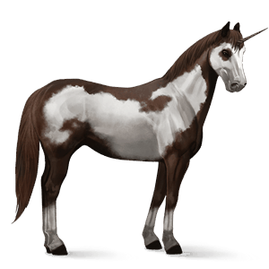 riding unicorn cremello tobiano