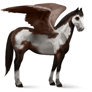 riding pegasus thoroughbred dark bay