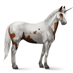 riding unicorn roan