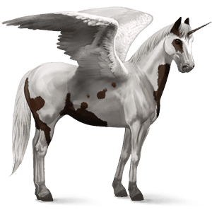 winged riding unicorn paint horse liver chestnut tovero