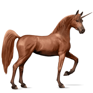 riding unicorn arabian horse chestnut