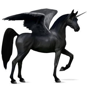 winged riding unicorn shagya arabian black
