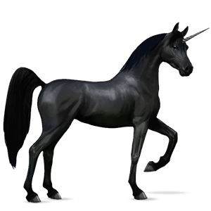 riding unicorn arabian horse dark bay