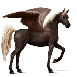 riding pegasus kwpn chestnut