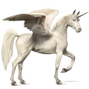 winged riding unicorn bay