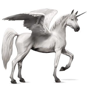 winged riding unicorn arabian horse light gray