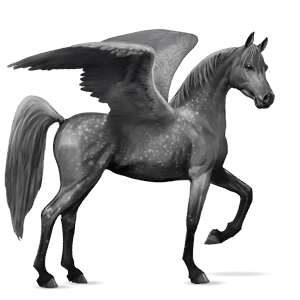 riding pegasus dapple gray