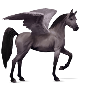 riding pegasus arabian horse mouse gray