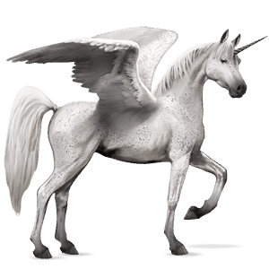 winged riding unicorn arabian horse fleabitten gray