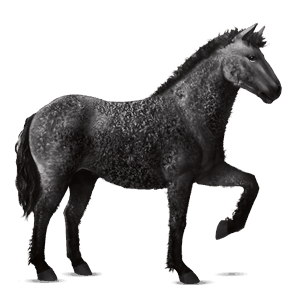 riding horse irish hunter chestnut