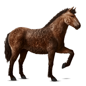 riding horse thoroughbred bay