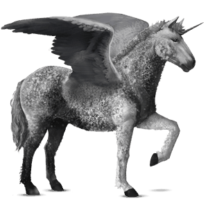 winged riding unicorn curly dapple gray tobiano