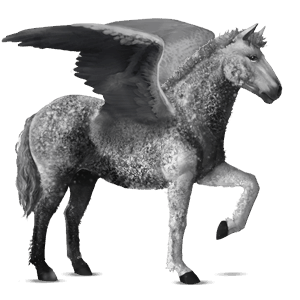 riding pegasus arabian horse light gray