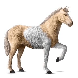 riding horse curly chestnut tobiano