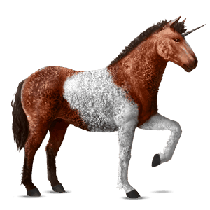 riding unicorn paint horse bay overo