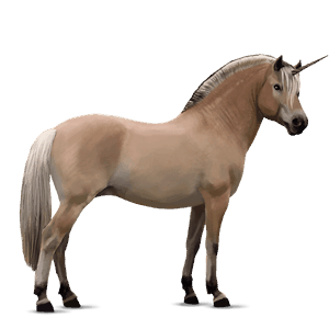 unicorn pony fjord brunblakk