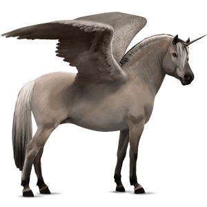 winged unicorn pony  fjord gra