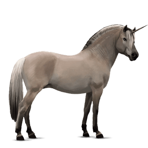 unicorn pony fjord gra