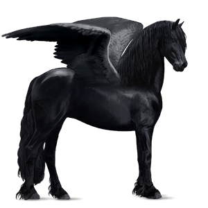riding pegasus marwari cherry bay