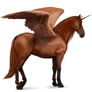 winged riding unicorn purebred spanish horse chestnut