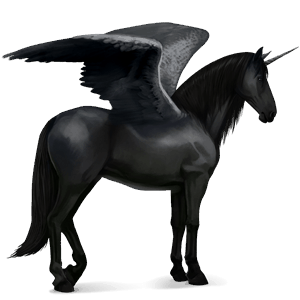 winged riding unicorn black