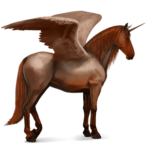 winged riding unicorn arabian horse strawberry roan