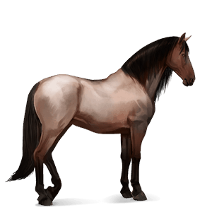 riding horse lusitano light gray