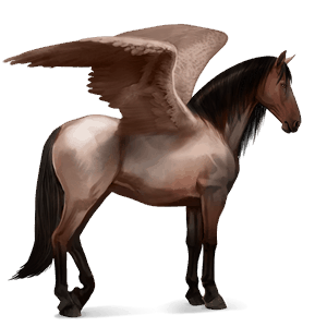 riding pegasus arabian horse roan