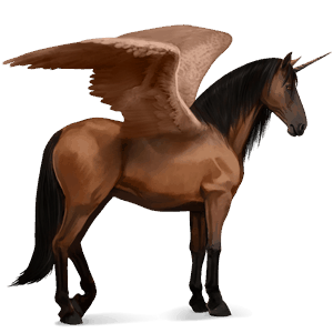 winged riding unicorn lipizzan bay