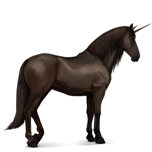 riding unicorn black leopard 