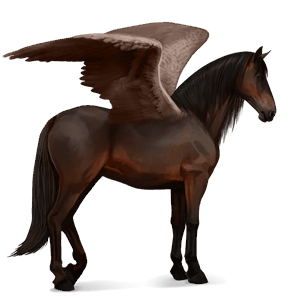 riding pegasus irish hunter dark bay