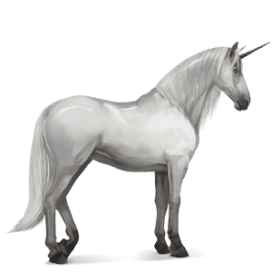 riding unicorn purebred spanish horse light gray