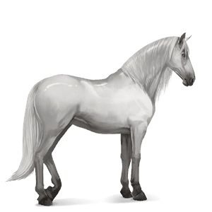 riding horse kwpn light gray