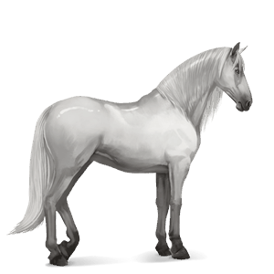 riding horse thoroughbred light gray