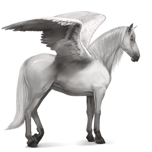 riding pegasus purebred spanish horse light gray